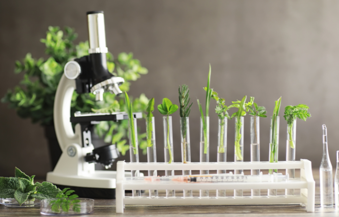 Ricoh’s Commitment